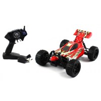 R_C_mini_buggy_B_4fabcb806d479.jpg